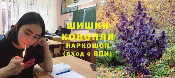 прущий лед Переславль-Залесский