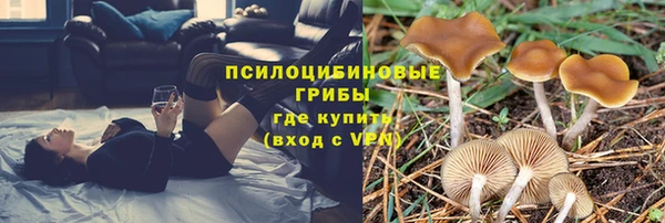каннабис Пестово