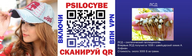 Галлюциногенные грибы MAGIC MUSHROOMS  hydra ссылки  Саки  закладка 