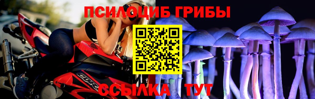 Псилоцибиновые грибы Psilocybe  Вход с VPN  наркошоп  Саки  Галлюциногенные грибы Psilocybe 